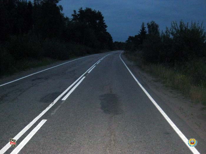 Олонецкий район, 26 июля 2015 года, 21-40. ДТП с участием легкового автомобиля Ниссан (Nissan Note) произошло на 33-м километре автодороги А-130 «Олонец-Питкяранта-Леппясилта», недалеко от населенного пункта Тулокса.