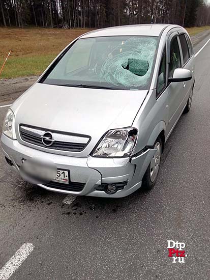 Пряжинский  район, 25 октября 2016 года, 15-30. ДТП с участием пешехода и минивэна Опель (Opel Meriva) произошло на 387-м километре автодороги М-18 "Кола",  в районе населенного пункта Пряжа.