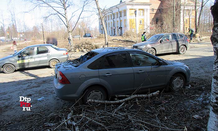 272101 Петрозаводск, 23 апреля 2018 года, 12-40.   Улица Герцена, дом 11. Упавшее дерево повредило два автомобиля.