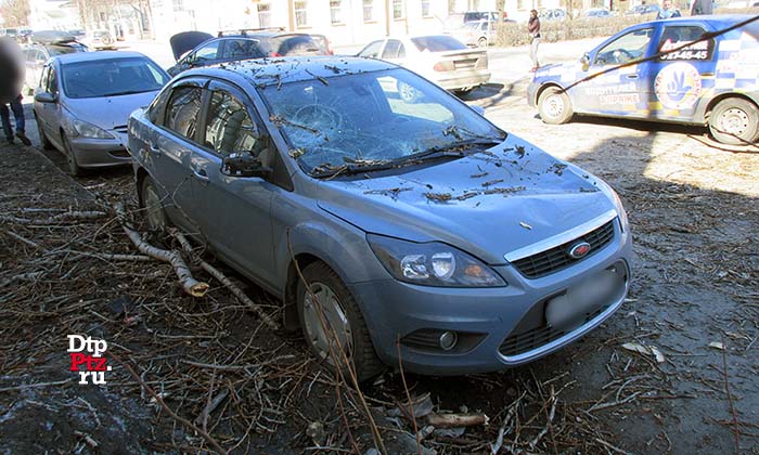 Петрозаводск, 23 апреля 2018 года, 12-40.   Улица Герцена, дом 11. Упавшее дерево повредило два автомобиля.