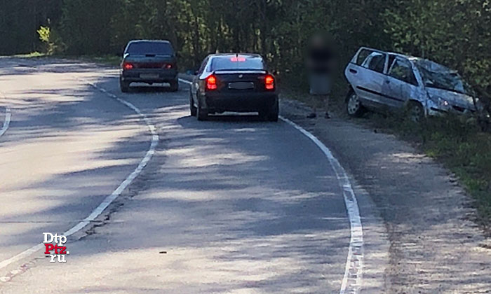 Прионежский район, 13 мая 2018 года, 17-00.   ДТП с участием лося и легкового автомобиля Митсубиши (Mitsubishi Colt) произошло на 8-м километре автодороги "Петрозаводск - Пиньгуба".